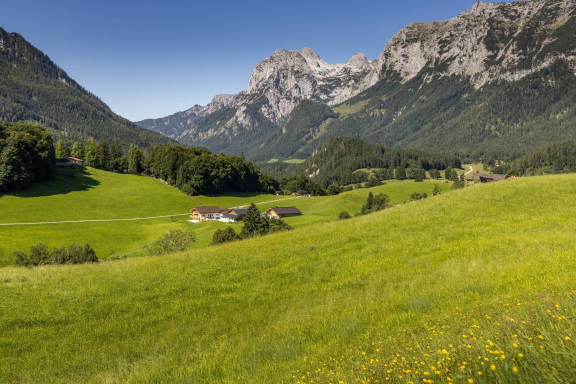 foto11