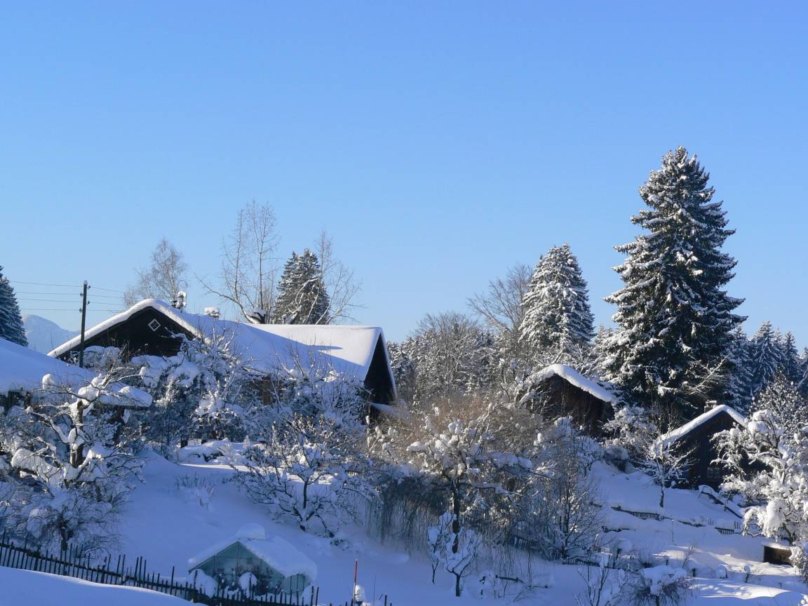 foto5