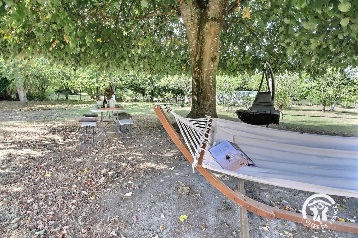 foto28