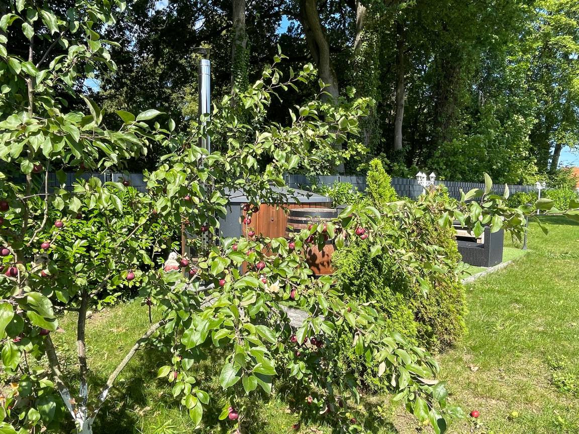 foto38
