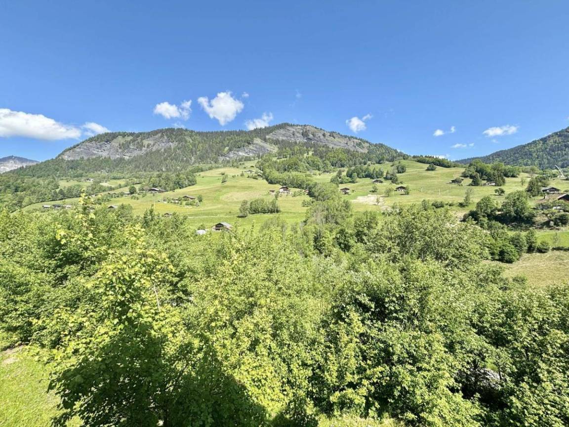 foto20