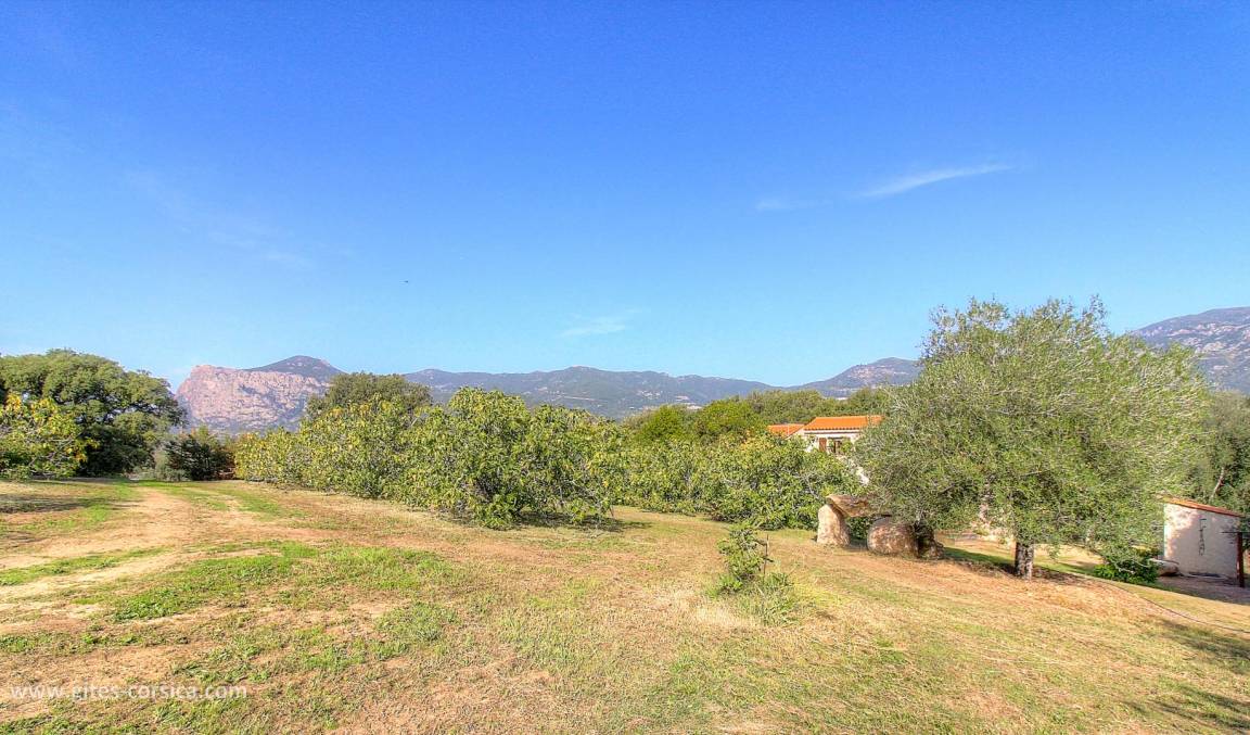 foto21