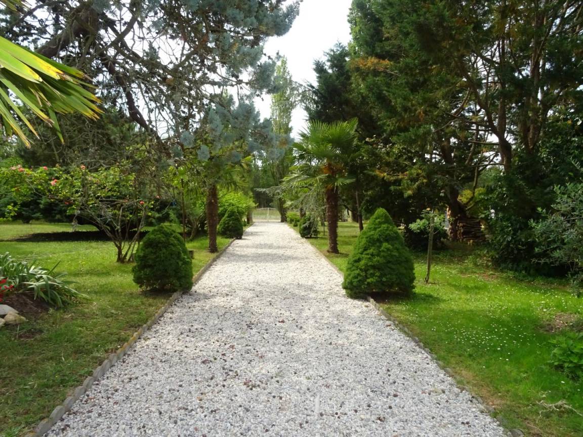 foto12