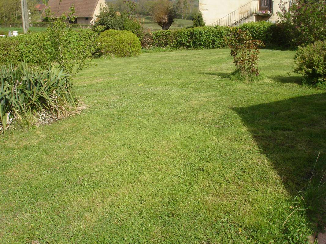 foto2