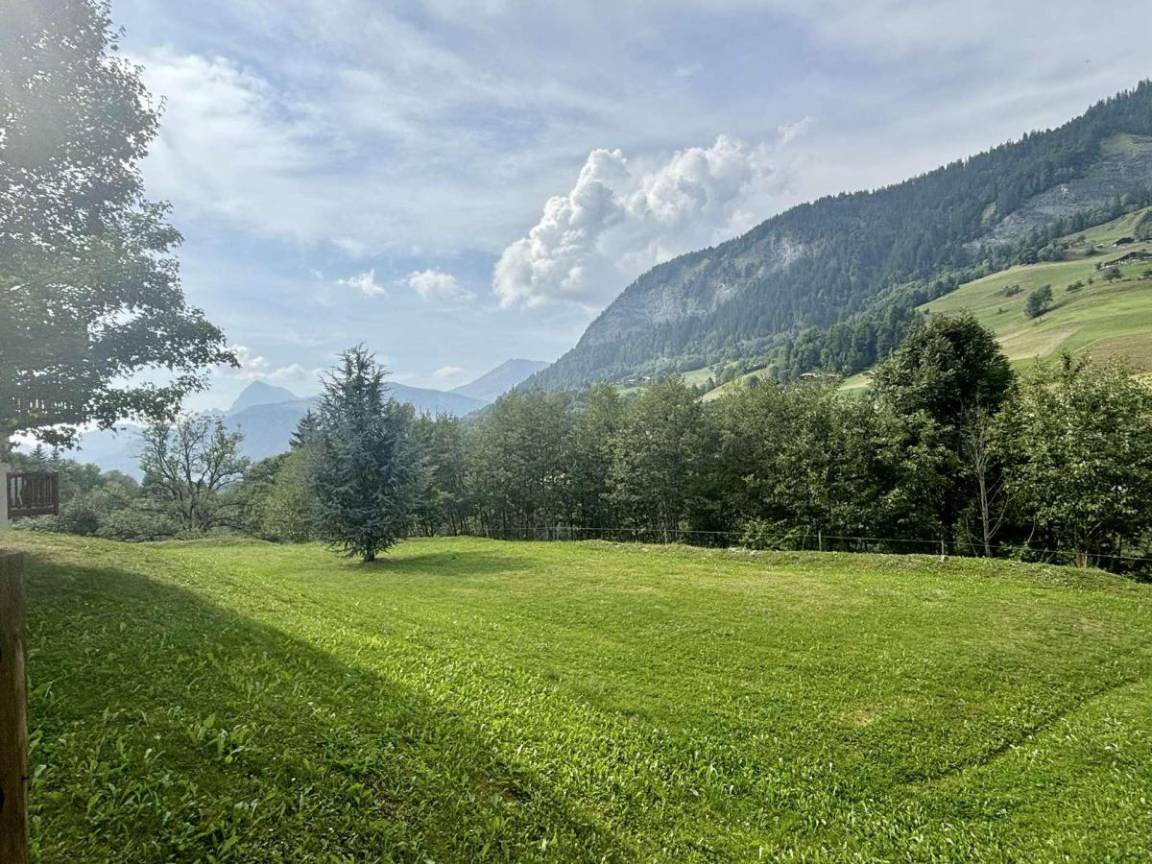 foto15