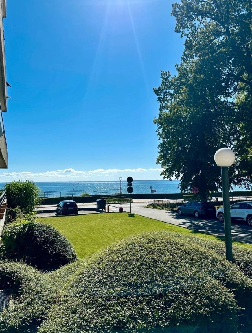 foto16