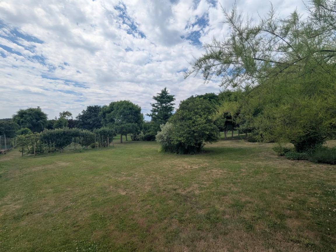 foto15