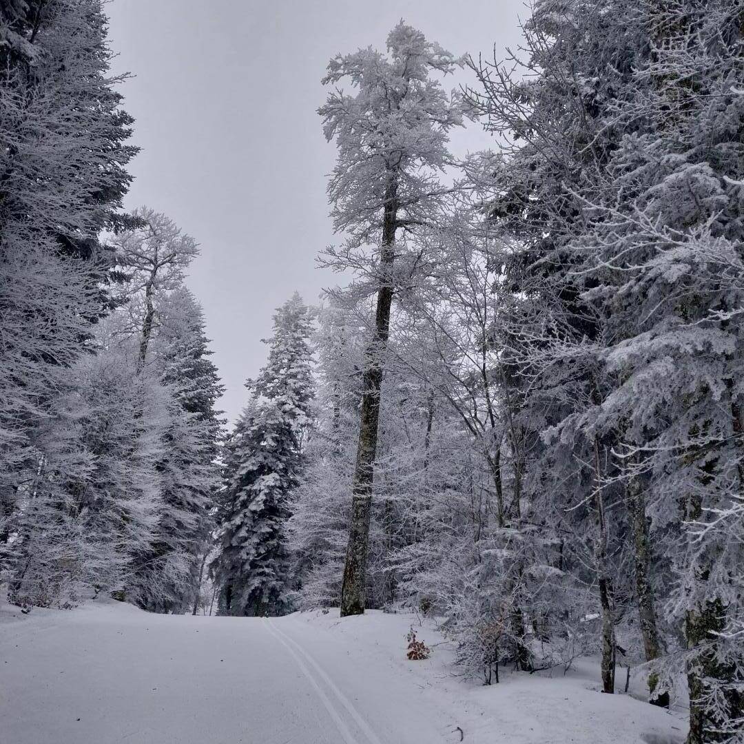 foto41
