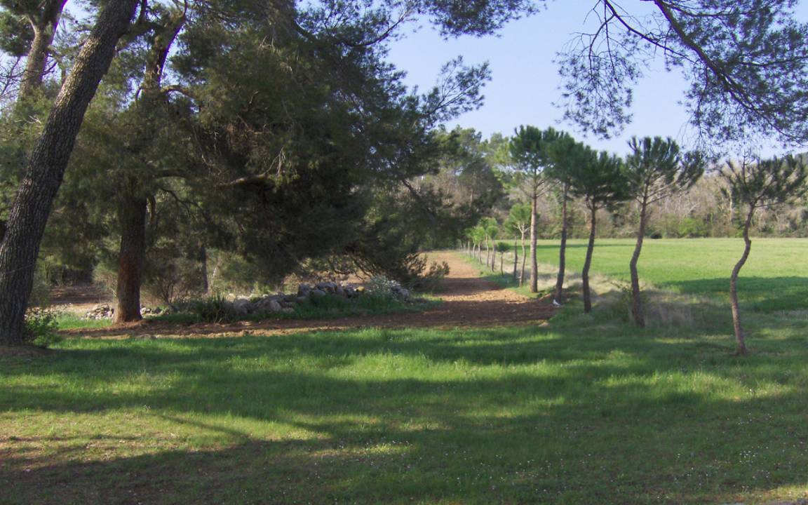 foto2
