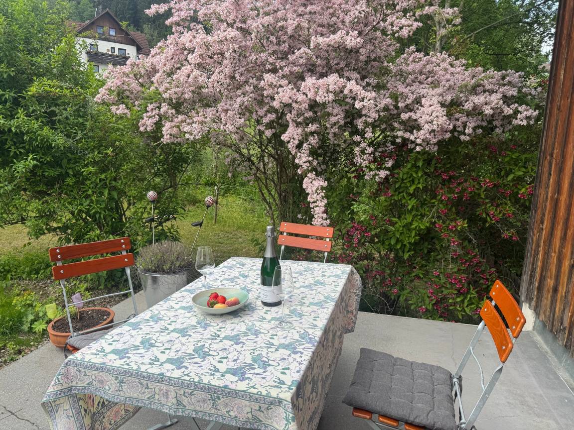 foto24