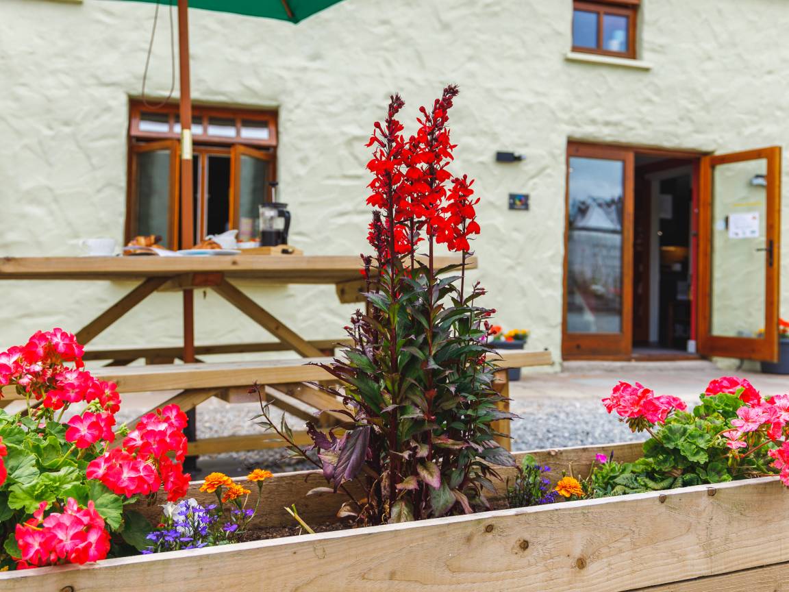 Cottage ∙ 3 Bedrooms ∙ 6 Guests - Pembrokeshire