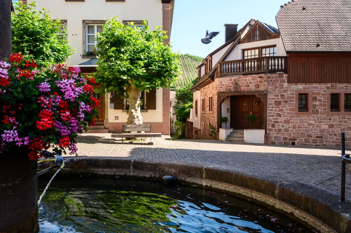65 M² Appartement ∙ 1 Chambre ∙ 4 Personnes - Riquewihr