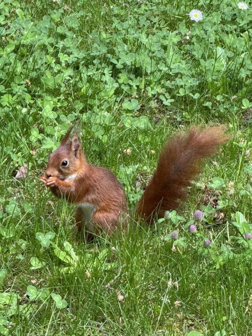 foto13