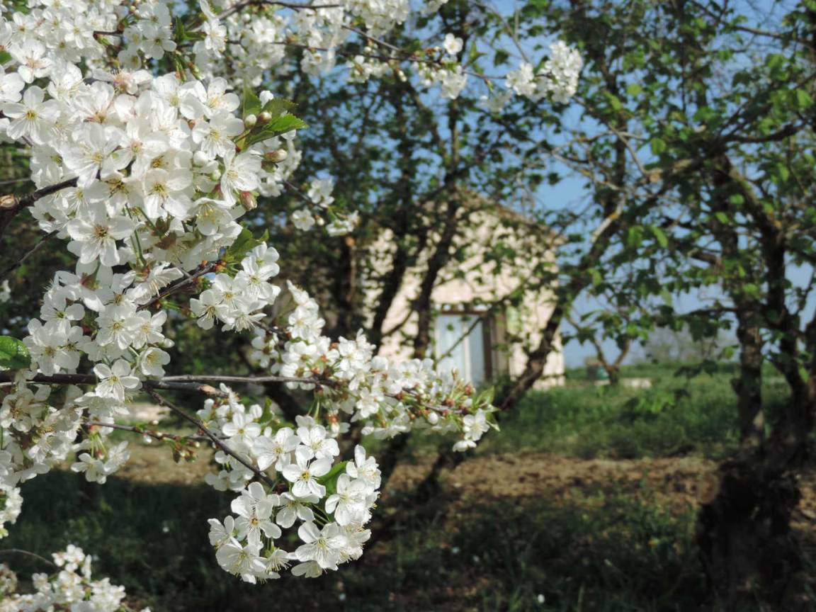 foto14