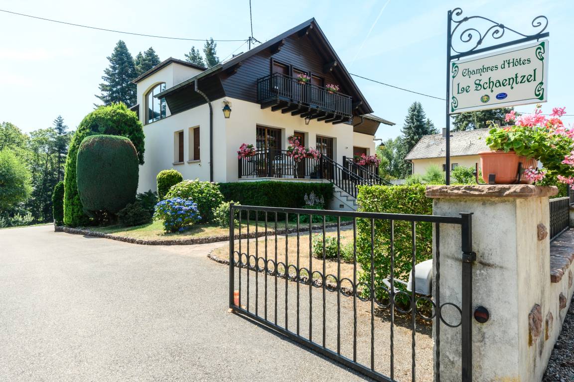 46 M² Appartement ∙ 1 Chambre ∙ 2 Personnes - Kintzheim