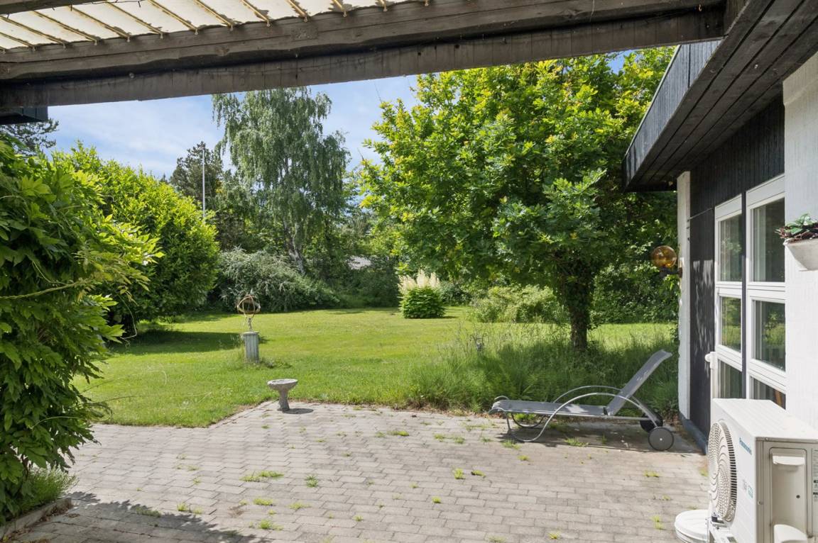 foto23