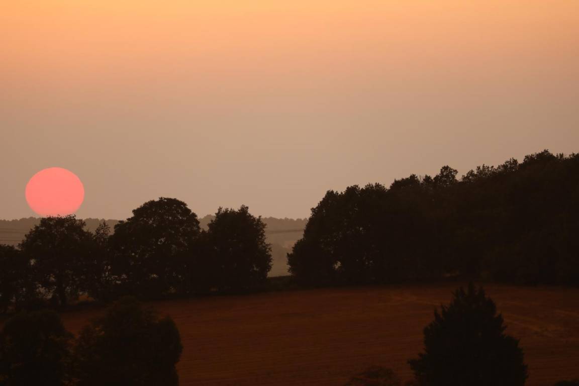 foto10