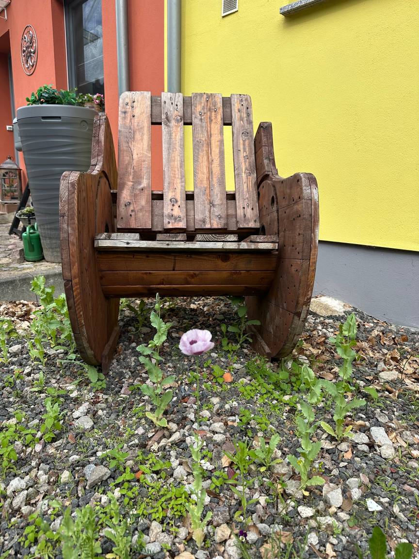 foto2