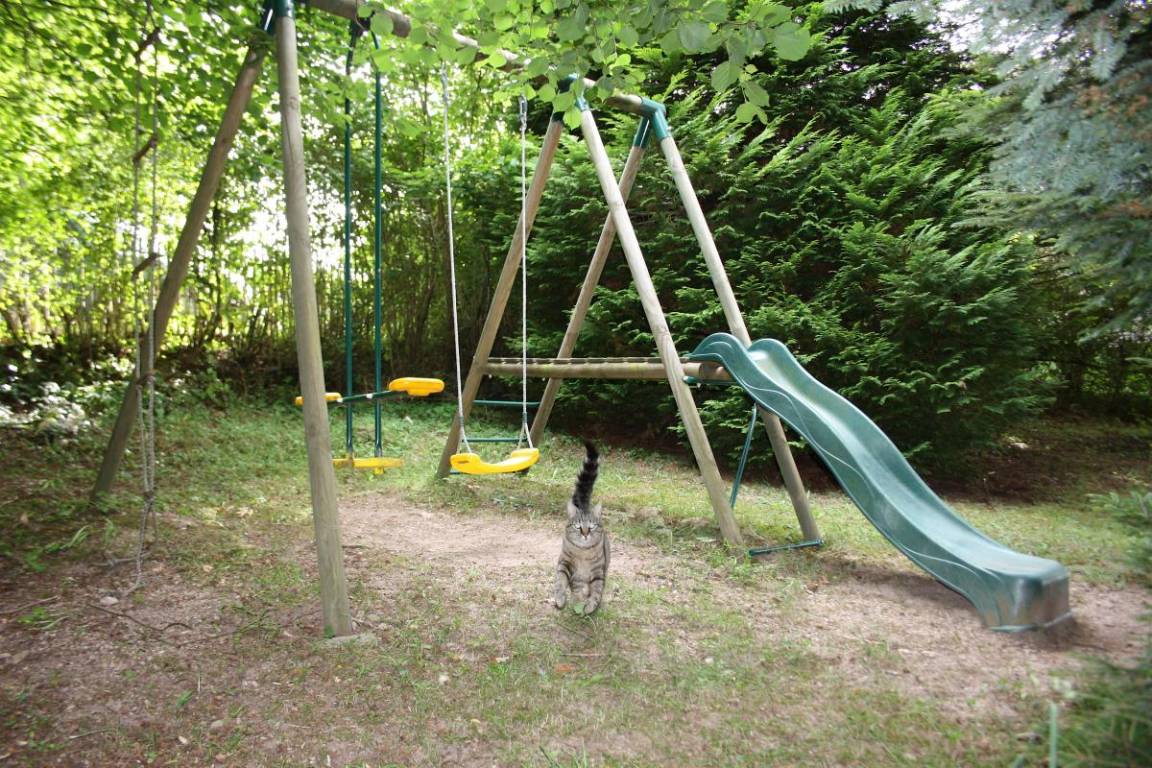 foto26