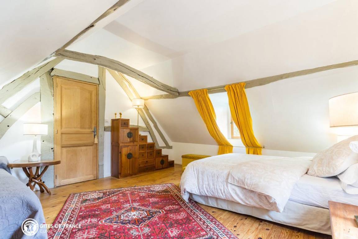 foto11