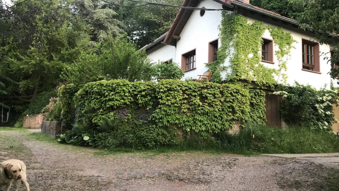60 M² Apartamento ∙ 1 Habitación ∙ 2 Huéspedes - Merzig
