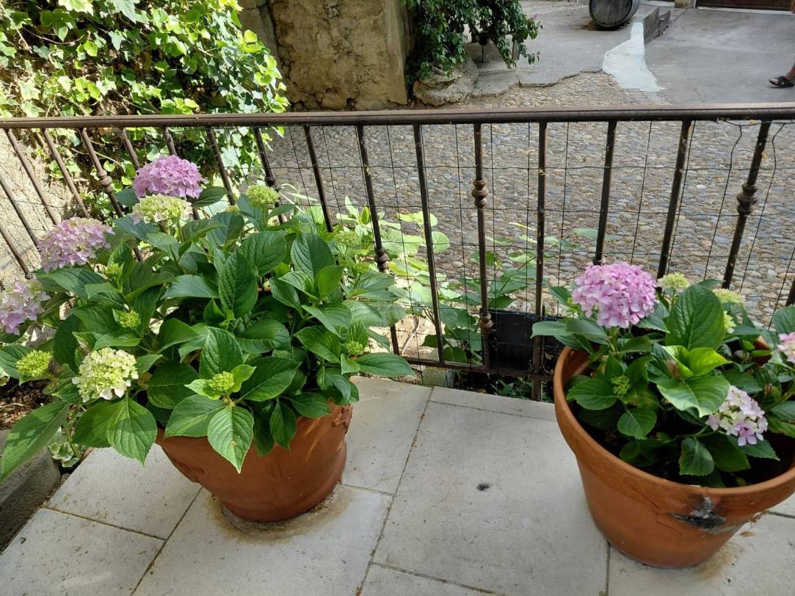 foto27