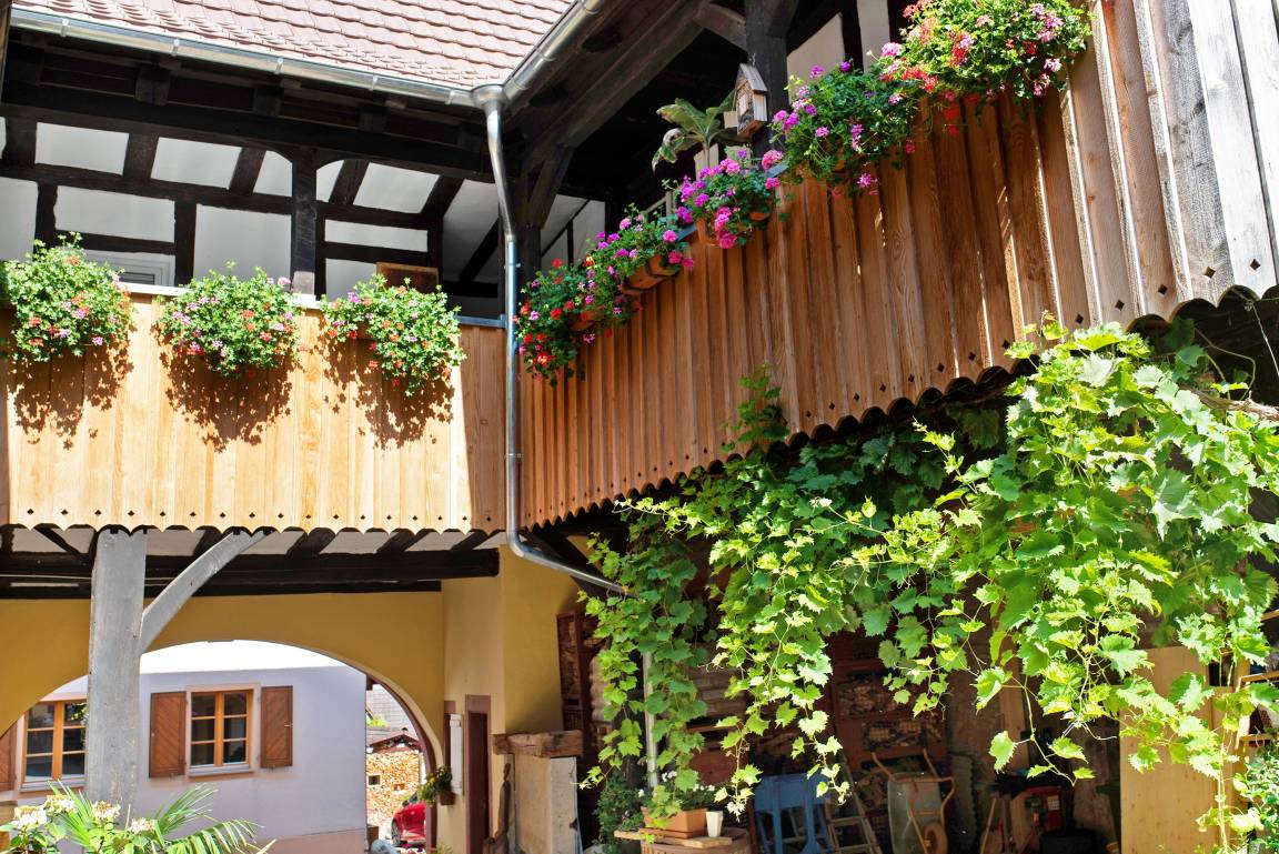 43 M² Ferienwohnung ∙ 1 Schlafzimmer ∙ 2 Gäste - Badenweiler