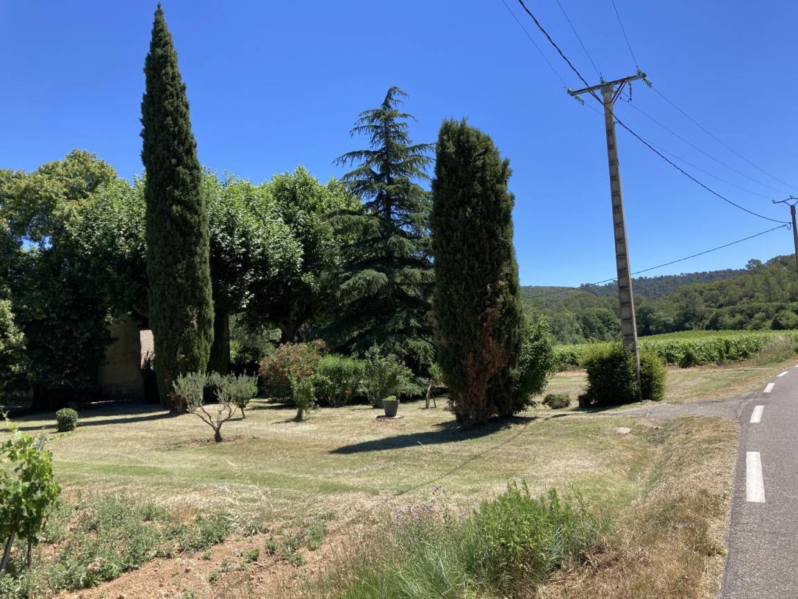 foto19