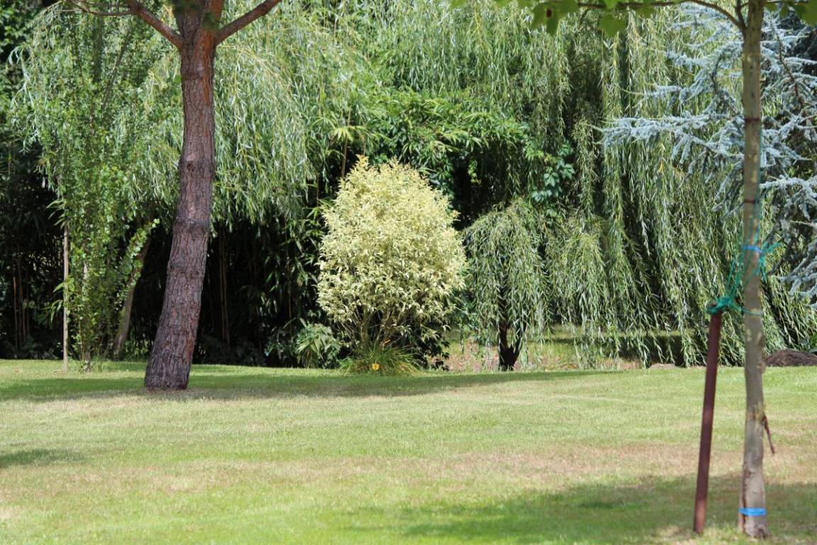 foto21