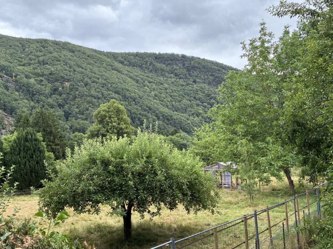 foto19