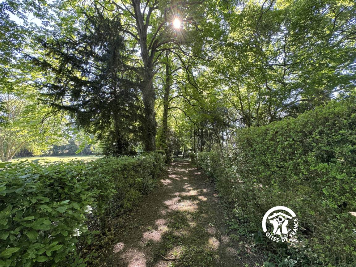 foto45