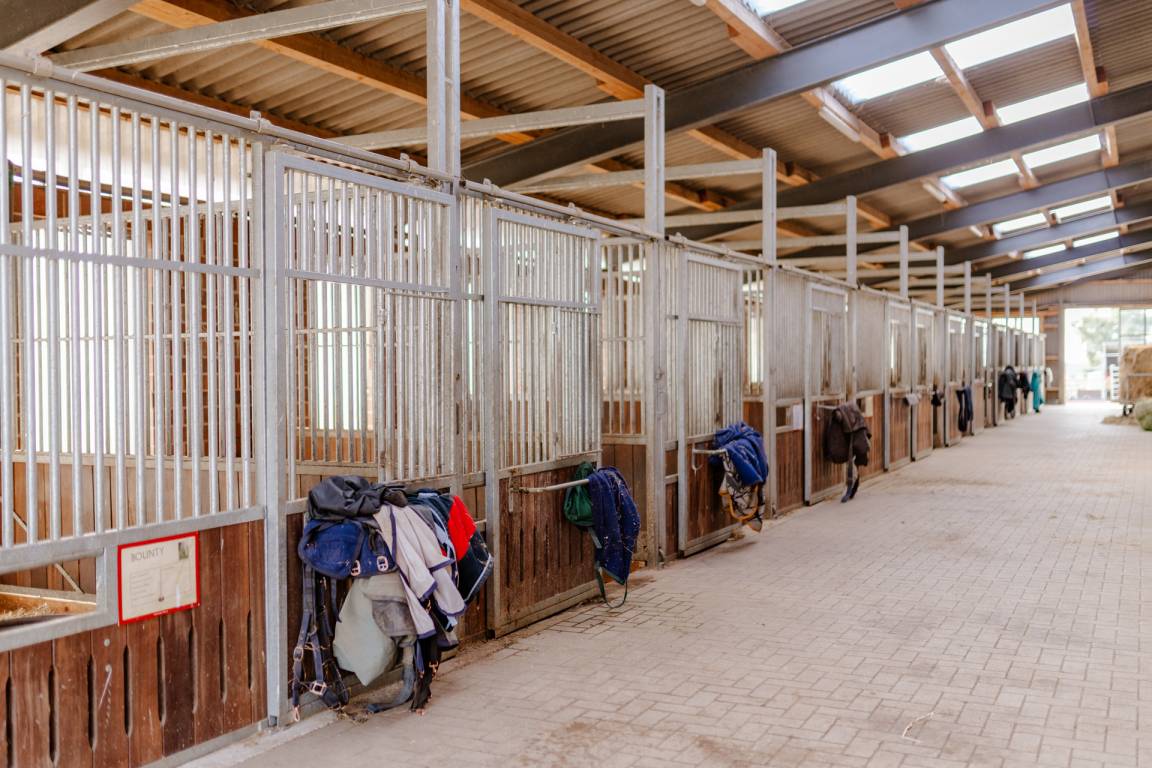 50 m² Ferienwohnung ∙ 2 Schlafzimmer ∙ 2 Gäste – Bild 38