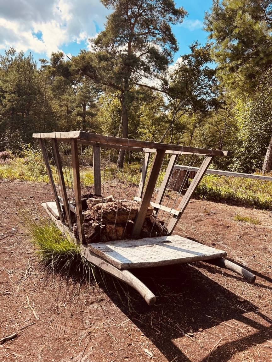 foto20