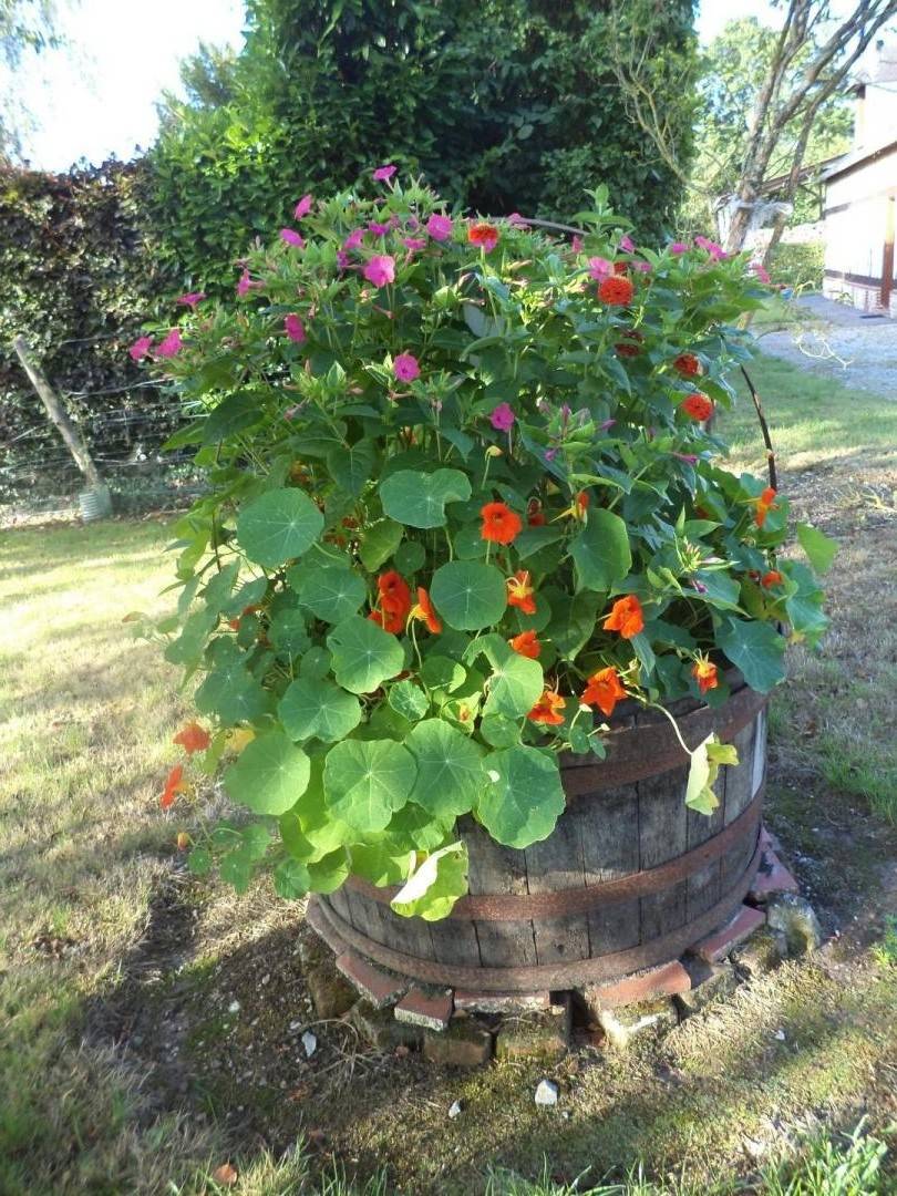 foto28