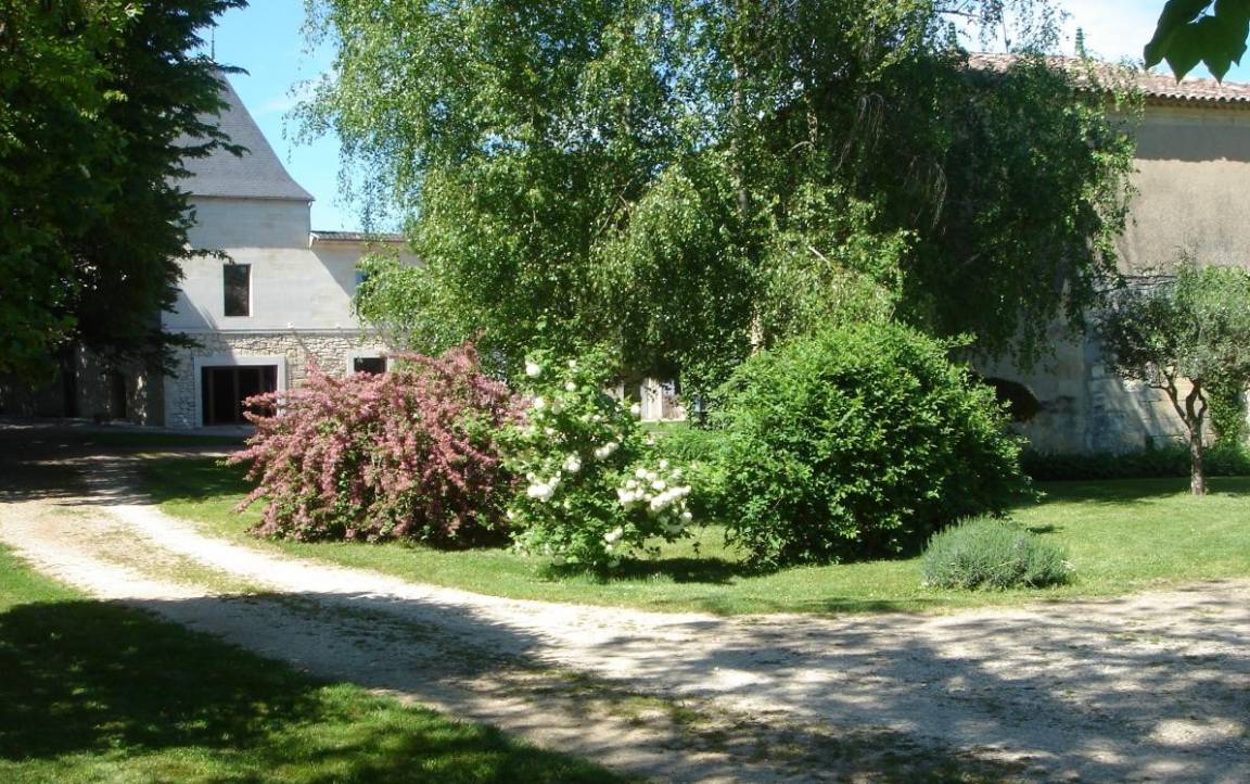 foto15