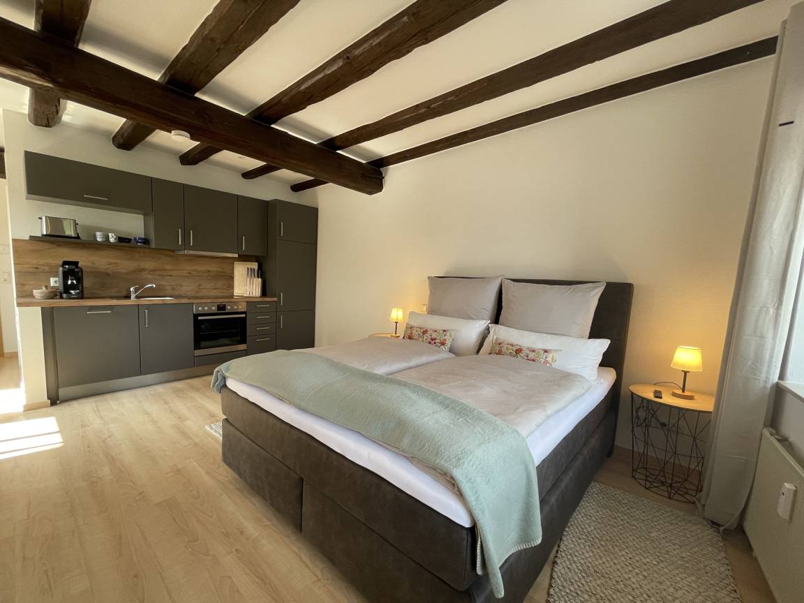 Appartamento Vacanza ∙ 1 Camera Da Letto ∙ 2 Ospiti - Miltenberg