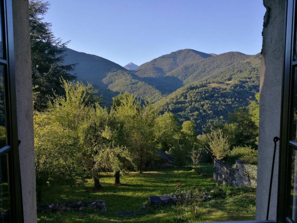 foto11