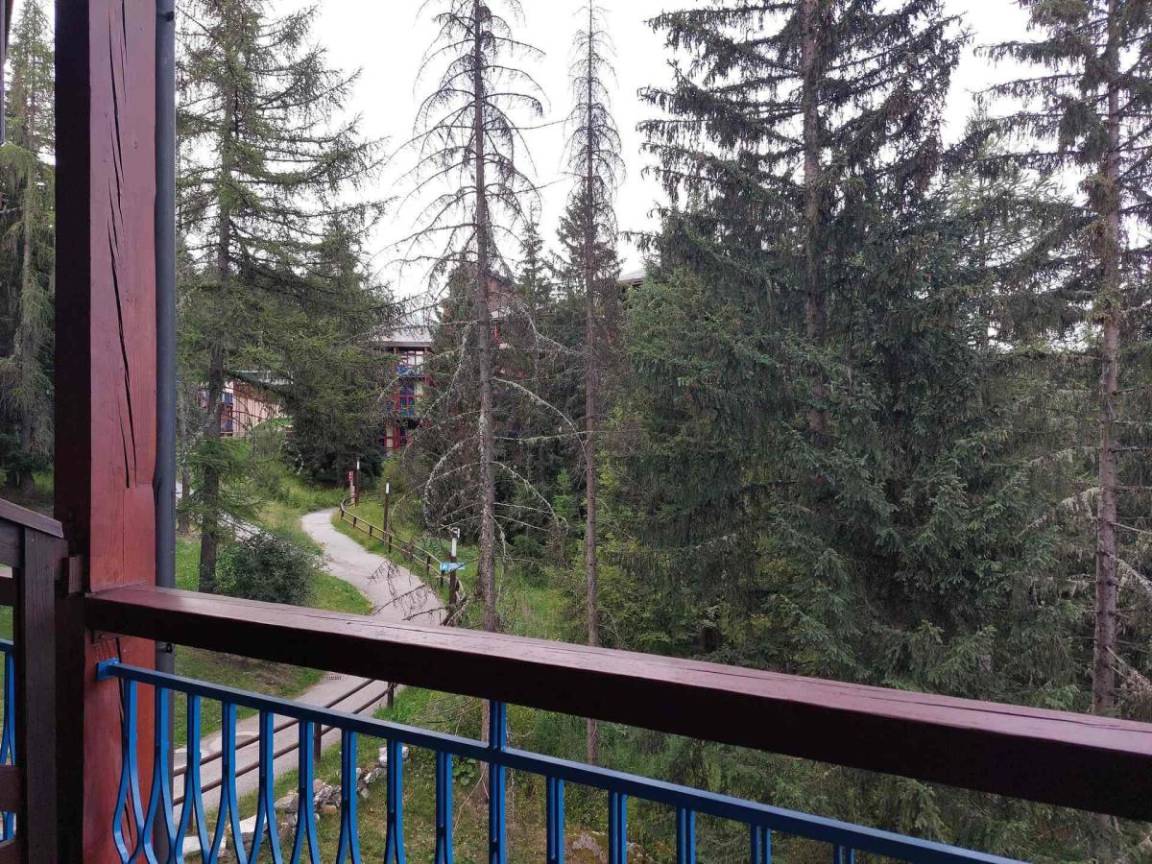 foto1