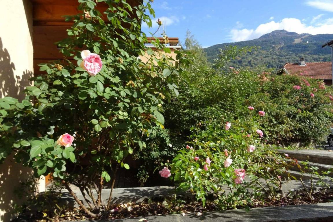 foto9