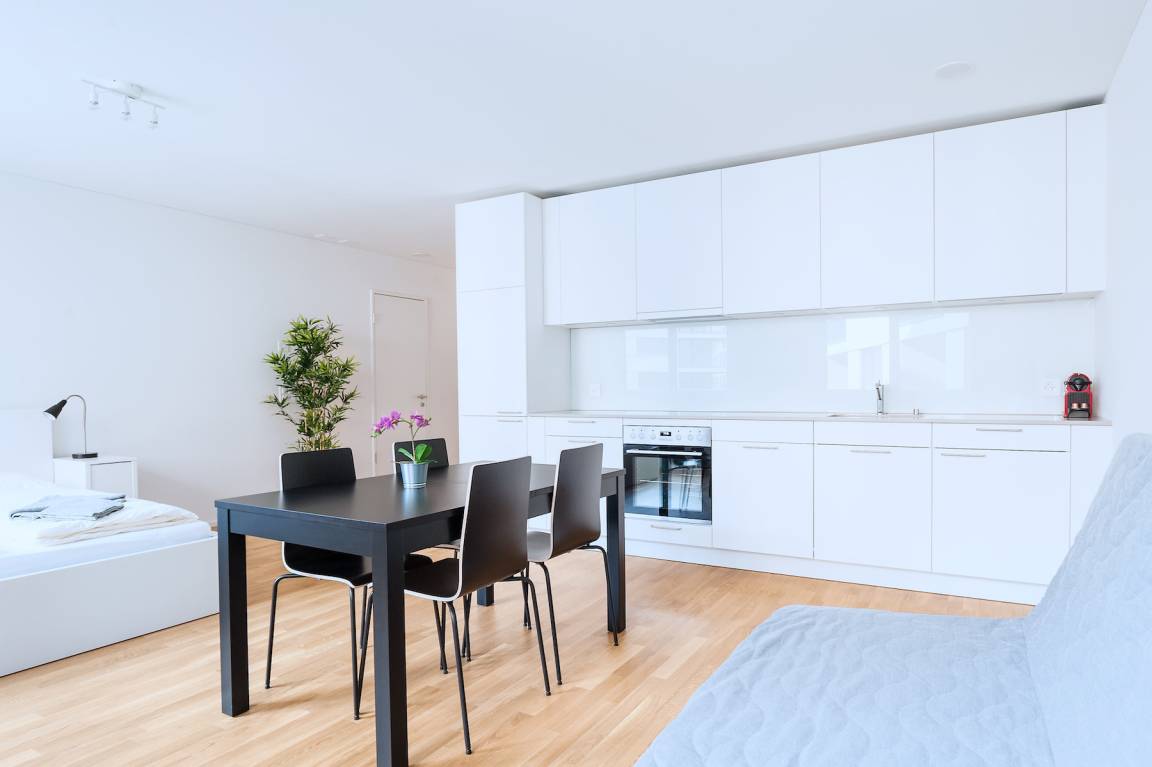 42 M² Studio Flat ∙ 4 Guests - Basel