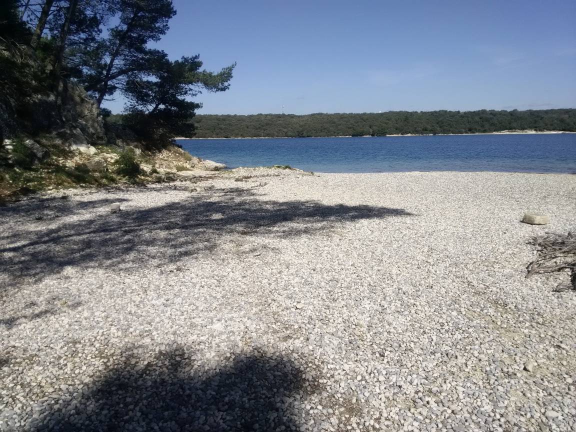 foto16