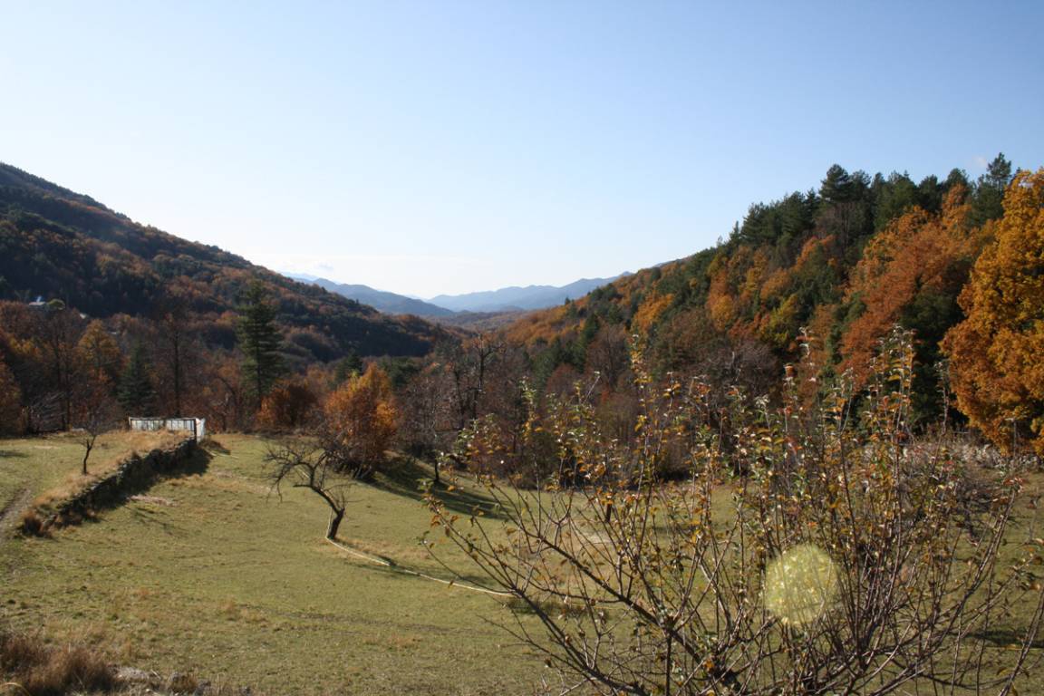foto20