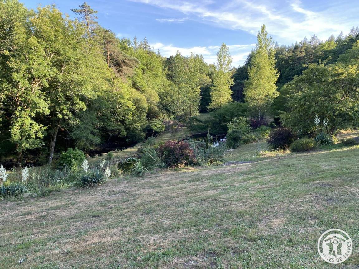 foto41