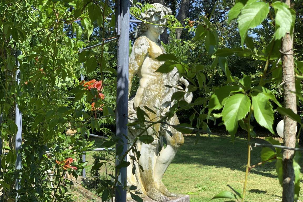 foto10