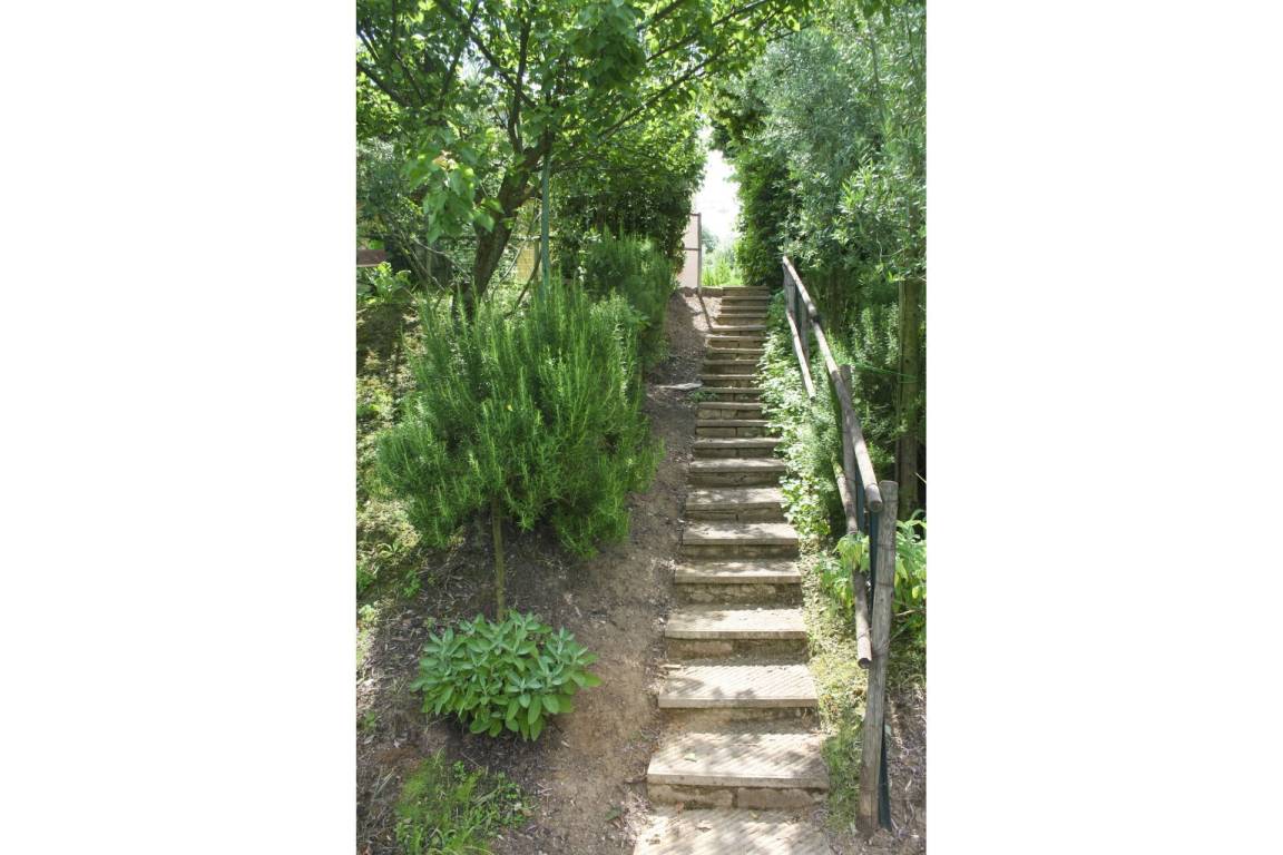 foto23
