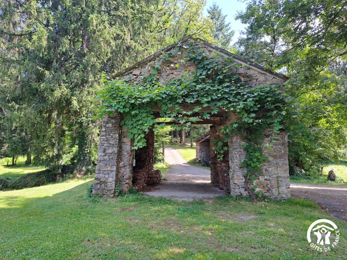 foto41