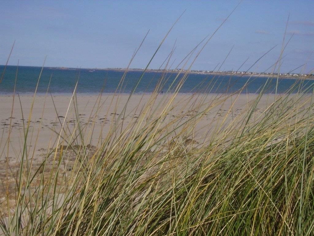 foto18