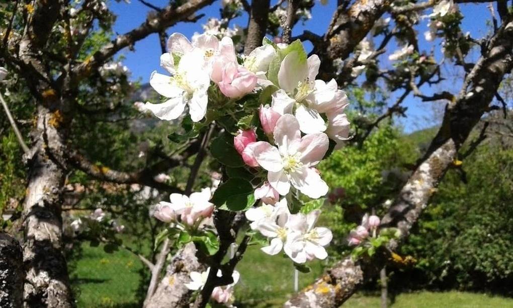 foto19