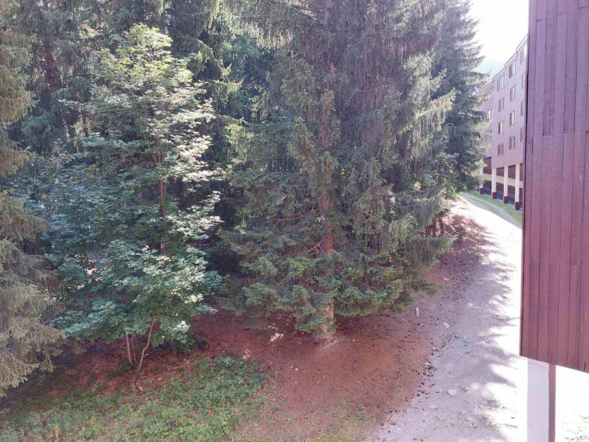 foto16
