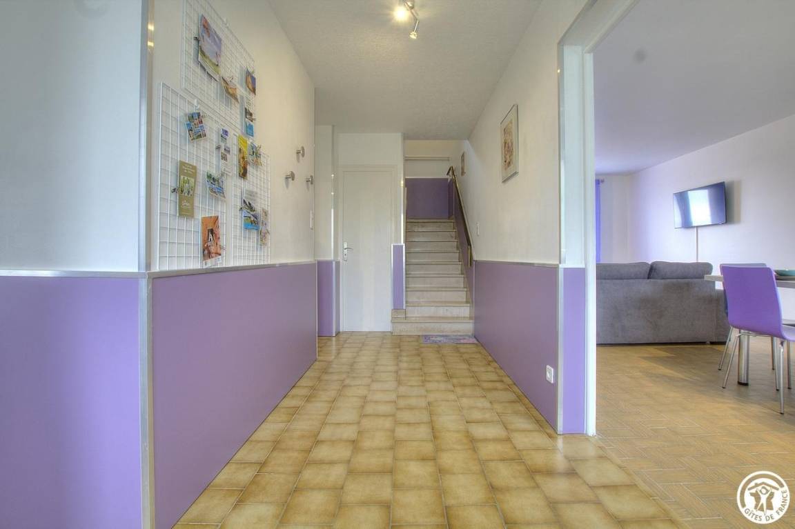 foto19